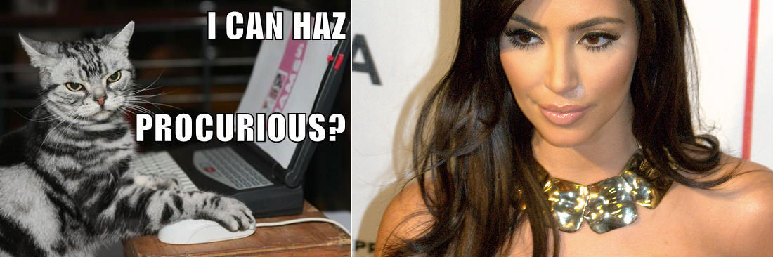 I Can Haz Cheezburger and Kim Kardashian in a beautiful example of the riches the Internet brings...