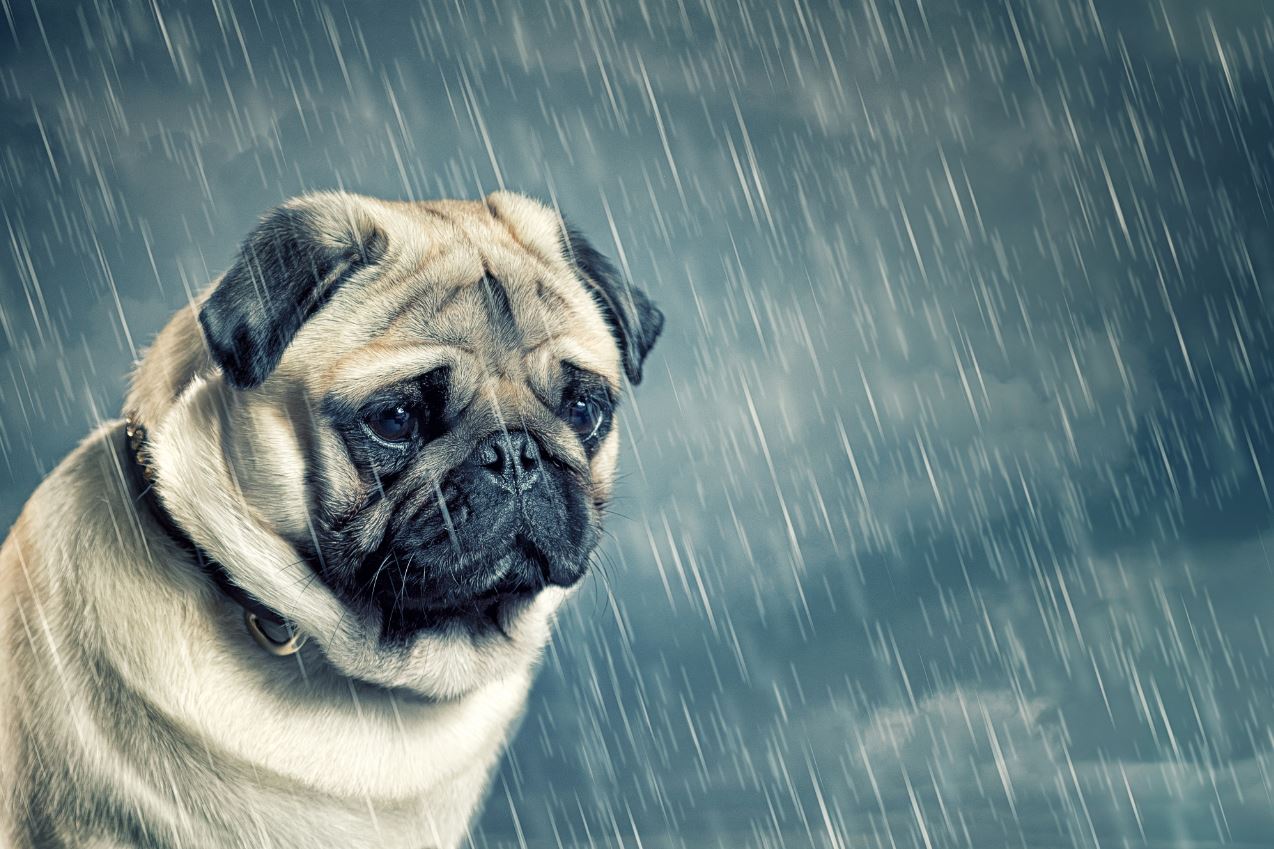 9 signs youre undervalued at work blog procurious undervalued at work