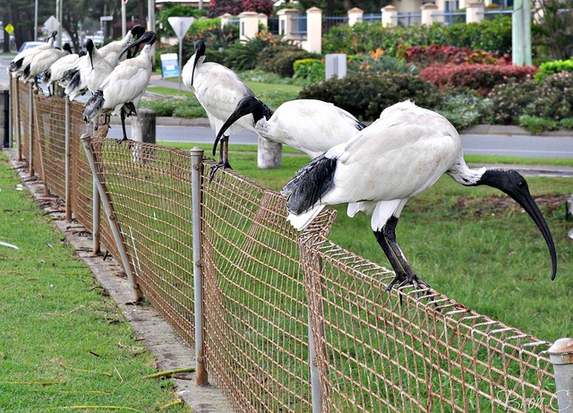 Is The Era Of The Fence sitting Corporation Over Blog Procurious