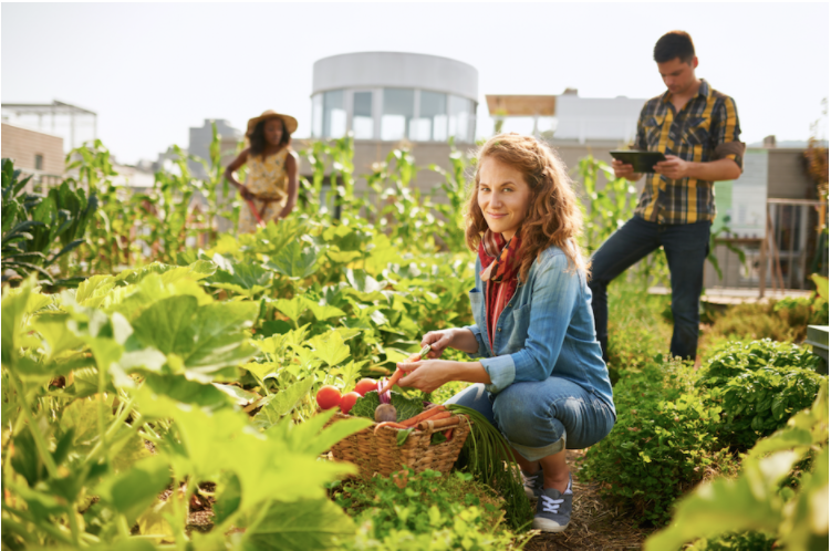 Resource Making Sustainable Procurement Work cover photo