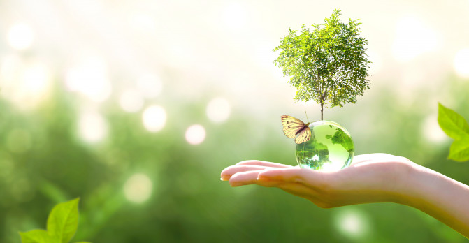 Procuring in the New Circular Economy – Part One Procuring in the New Circular Economy – Part One
