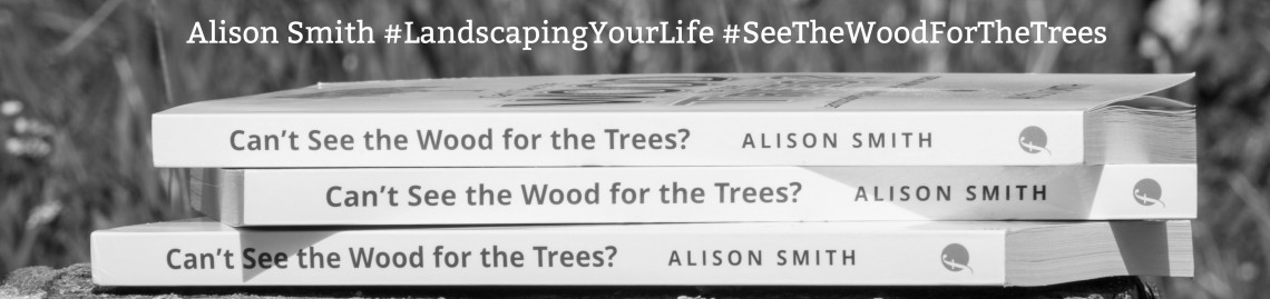 Alison Smith cover photo