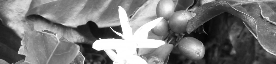 Ed Gratttan cover photo